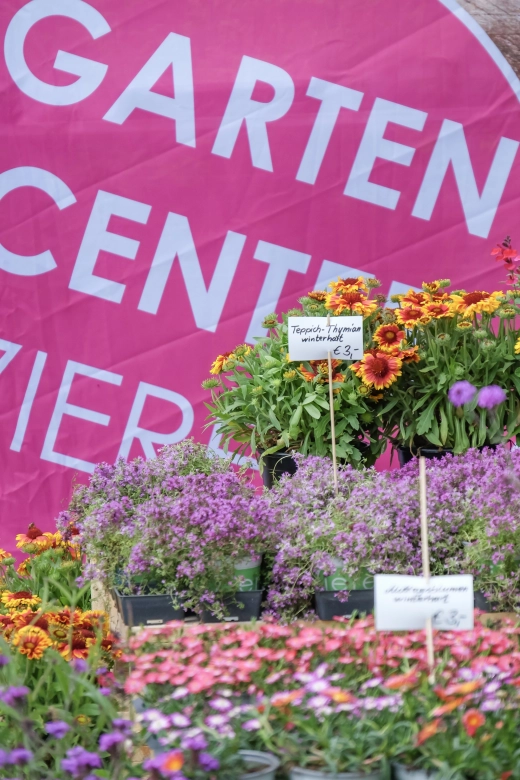 Blumenmeer: Neben Dekoelementen bieten verschiedene Gärtnereien Blumen und Pflanzen für den Garten an.
