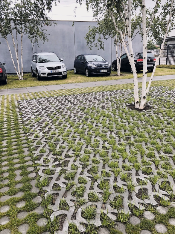 landscaped parking lot