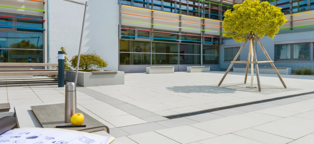 platz modern school planted