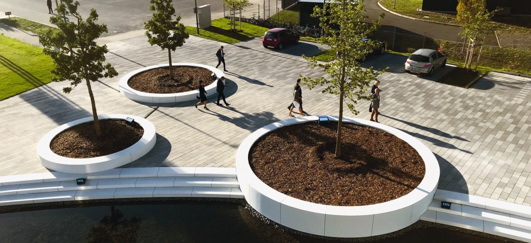 company space planted modern