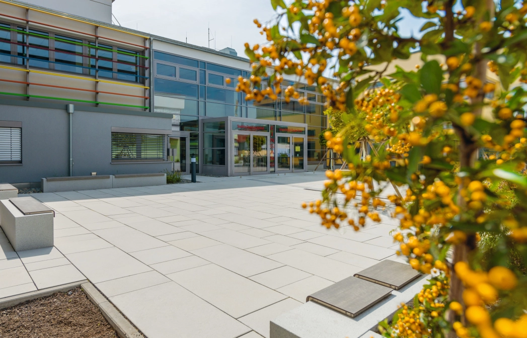 platz modern school planted