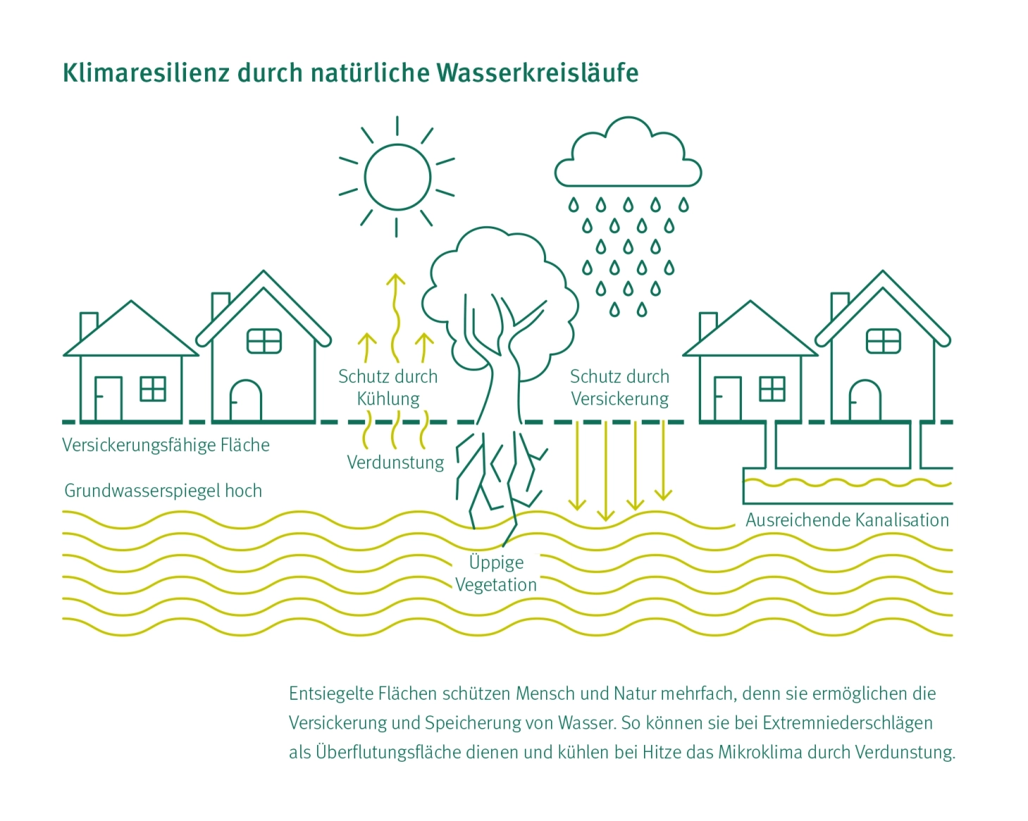 Graphic showing how the GDM.KLIMASTEIN works. Water seeps away, is stored and evaporates.