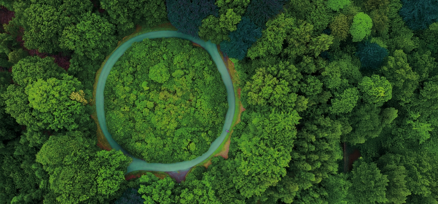 Drohnenaufnahme von einem grünen Wald mit Straße, die einen Kreis bildet und symbolisch für "Kreislauf" gesehen werden kann.