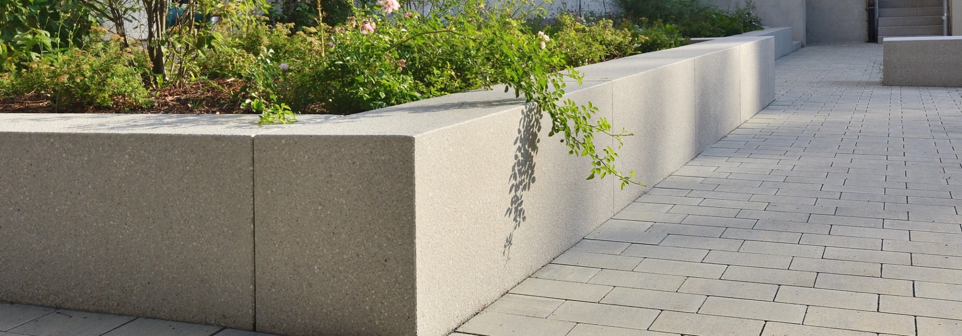 church path planted