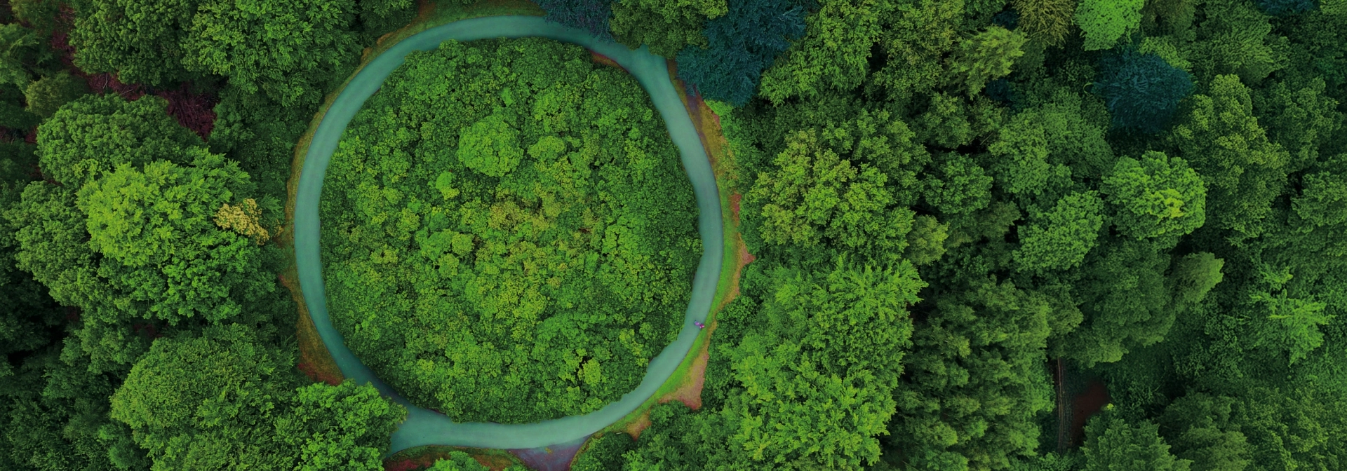 Drohnenaufnahme von einem grünen Wald mit Straße, die einen Kreis bildet und symbolisch für "Kreislauf" gesehen werden kann.