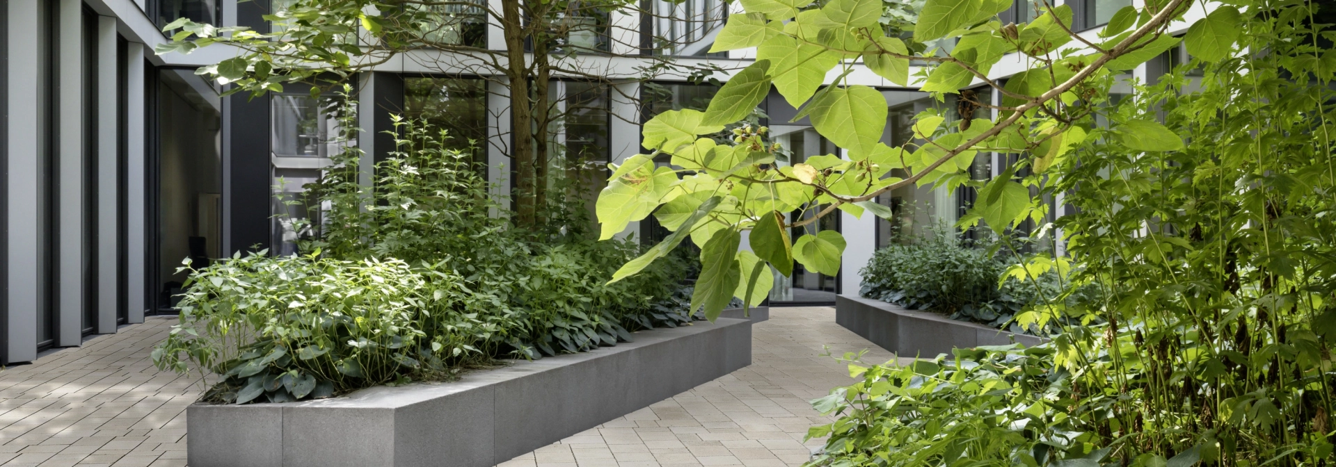 Inner courtyard of a building based on the sponge city principle with many green areas and infiltration-capable paved surfaces.