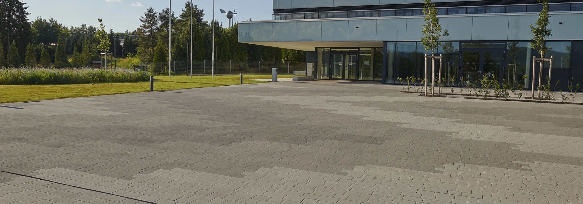 company space planted