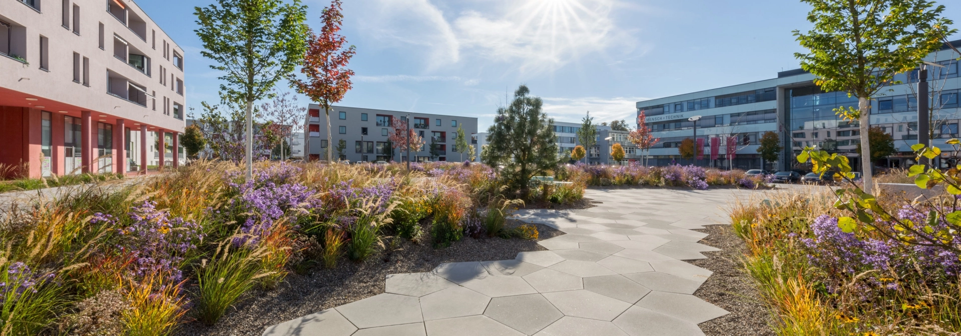 modern planted square