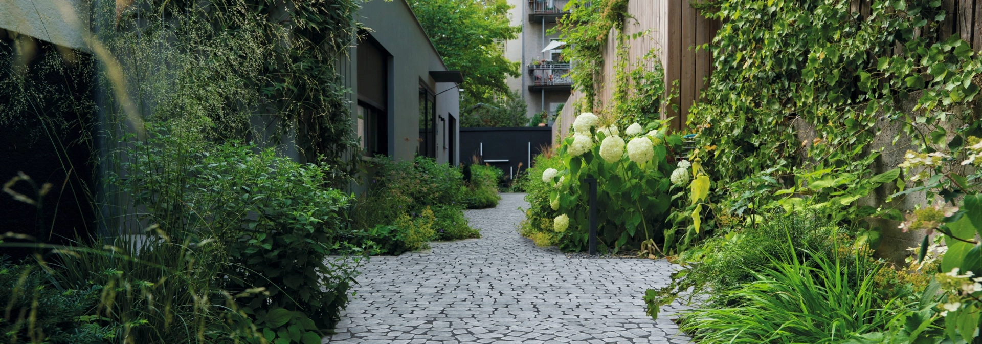 A walkway surrounded by plants and trees that creates an inviting and green atmosphere.
