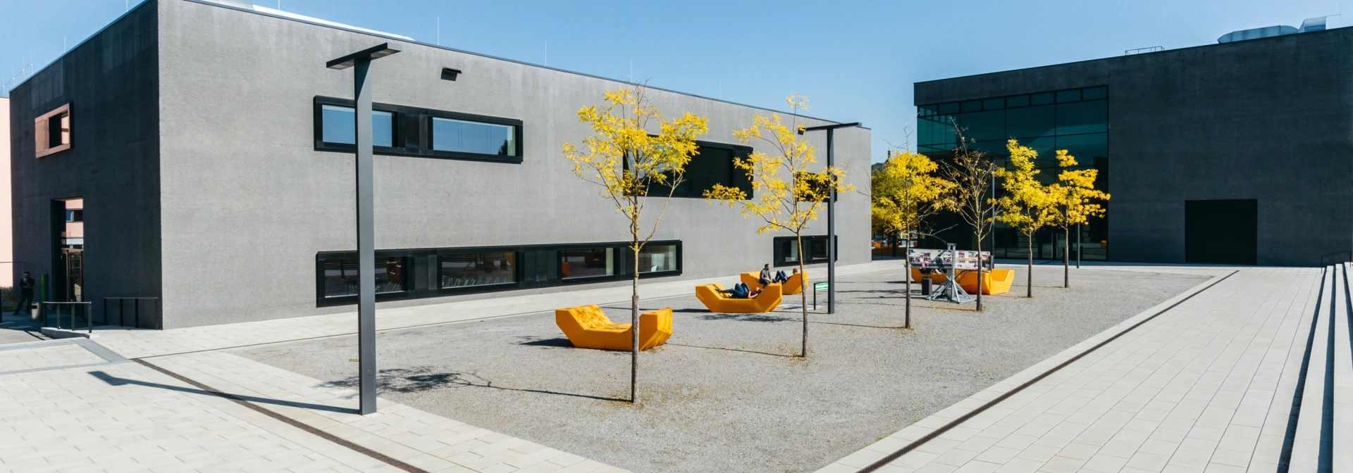 university campus square planted