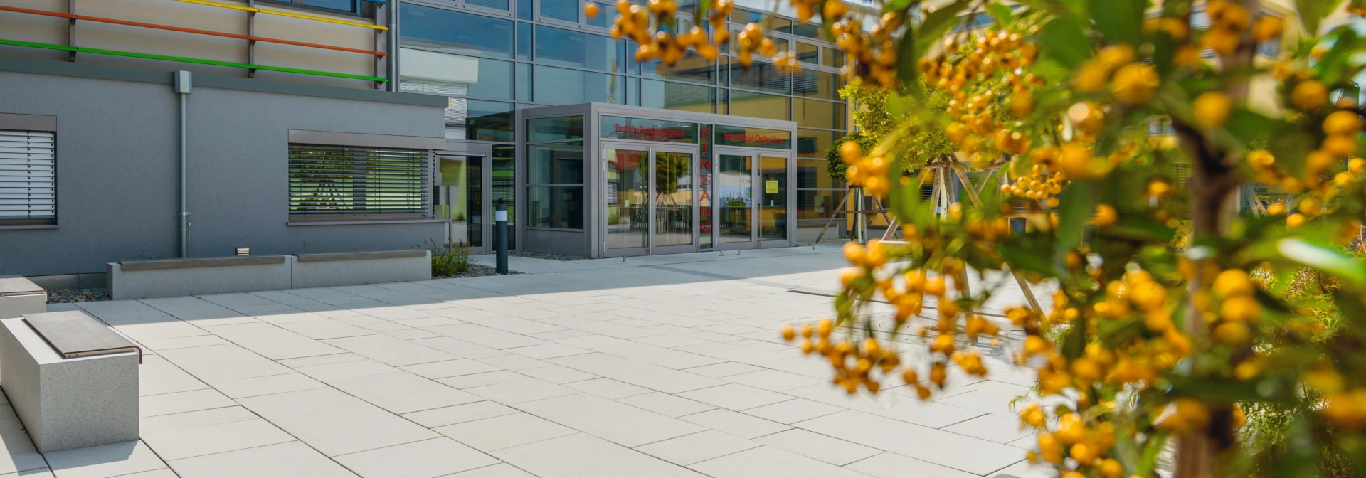 platz modern school planted