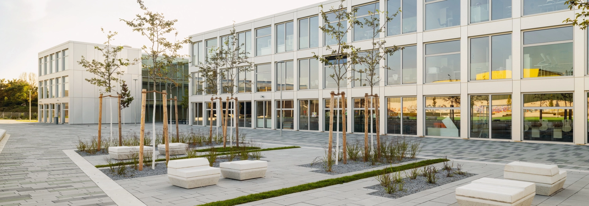 school campus modern planted