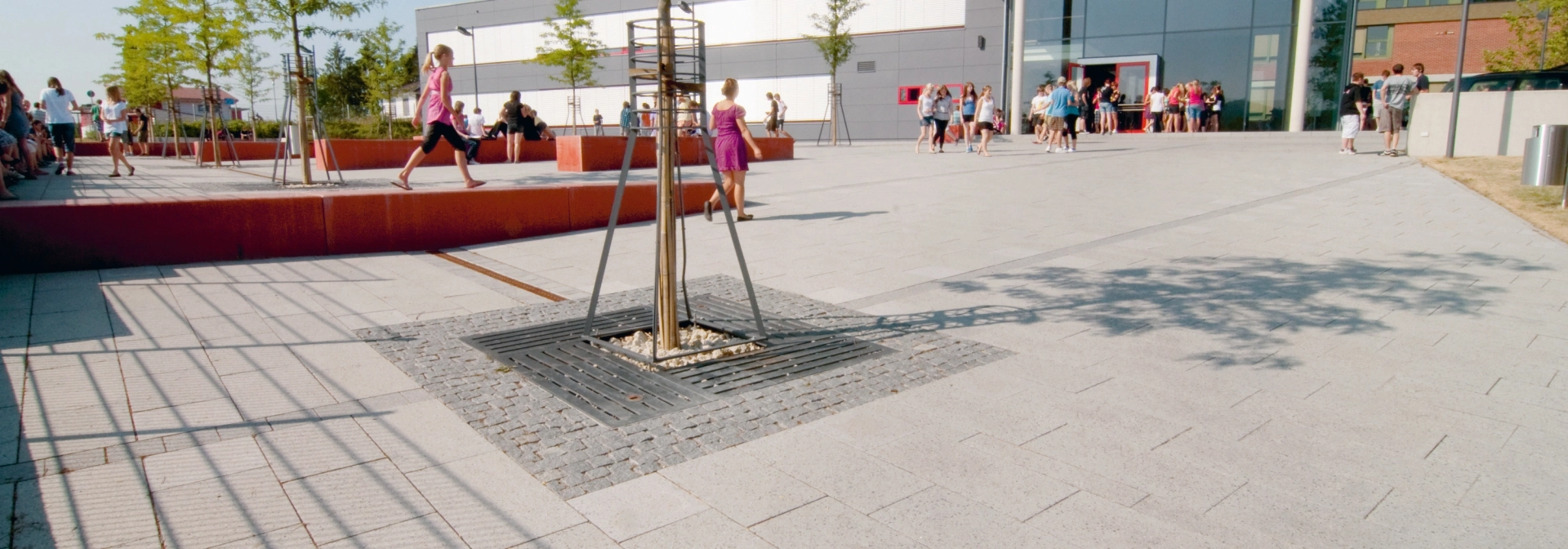 school playground planted