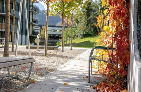 hellgrau gepflasterter Fußgängerweg mit Sitzbänken neben angepflanzten Bäumen und Fassade mit herbstlich gefärbten Efeu