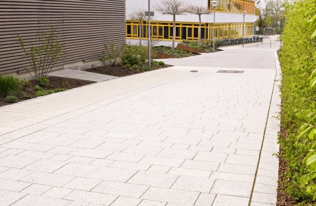 school path