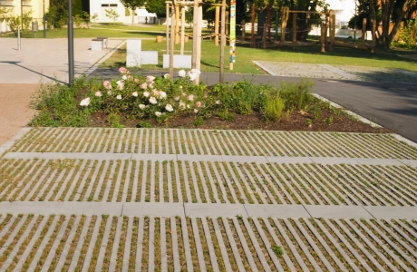 tree lawn parking lot