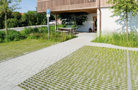 house planted parking lot