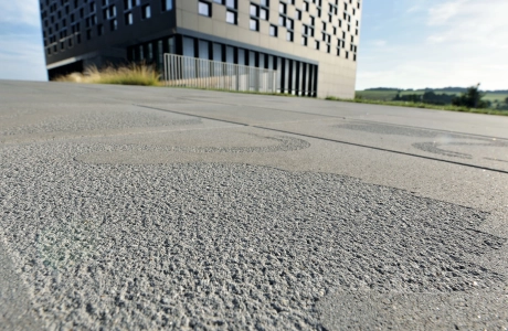 place company planted building modern