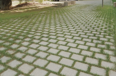 path planted parking spaces