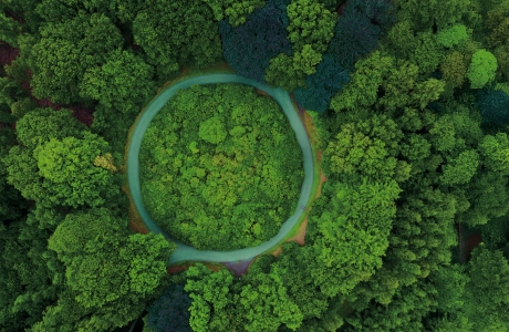 Drohnenaufnahme von einem grünen Wald mit Straße, die einen Kreis bildet und symbolisch für "Kreislauf" gesehen werden kann.