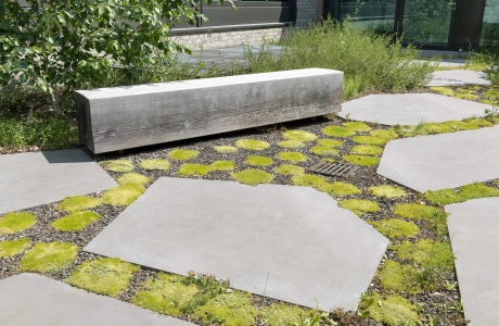 langer Sitzblock aus Beton mit Holzstruktur auf verschiedenen polygonalen Platten aus hellgrauem Beton und bepflanztem Boden