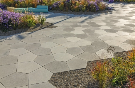 square planted modern