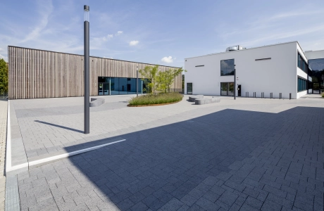 modern schoolyard planting