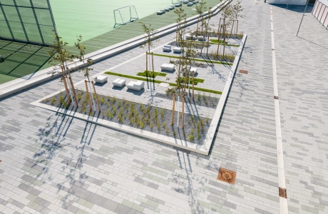 school campus modern planting