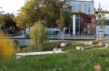 Urban green space with several seating platforms on a gently sloping lawn; in the background are trees and various buildings, including a modern multi-storey house and older brick buildings.