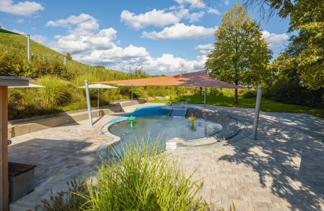 outdoor pool planted with plants