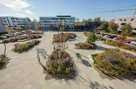 square planted modern