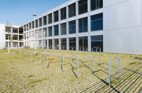 school campus modern planted