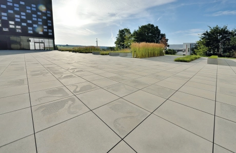 place company plants building modern