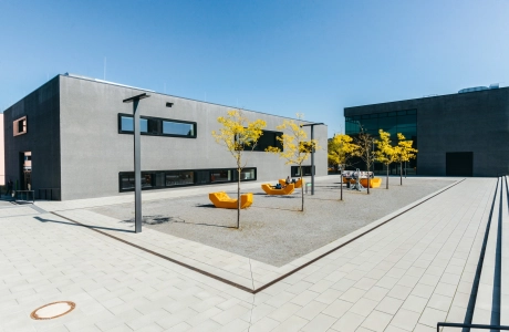 university campus square planted
