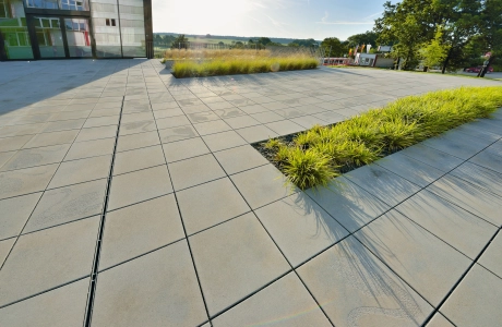 place company planted building modern
