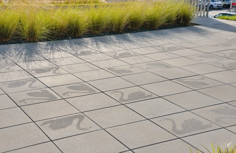place company planted building modern