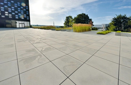 place company planted building modern