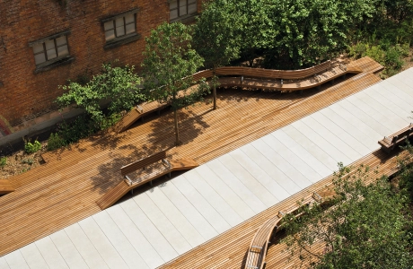 wood planted park
