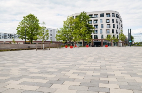 development area square planted with modern buildings
