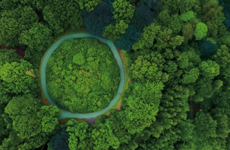 Kreislaufwirtschaft, Wald, Kreis