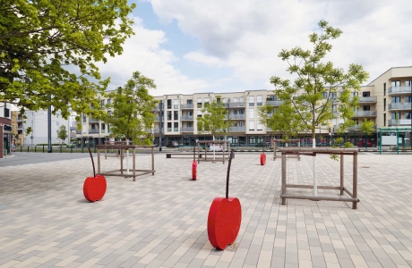 development area square planted 