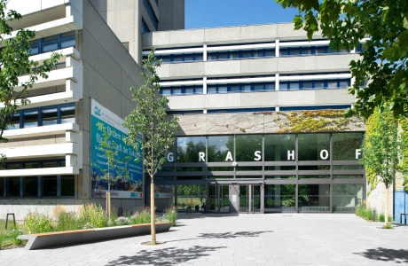 building university planted