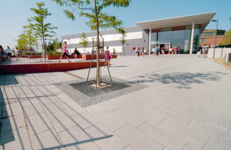 school playground planted