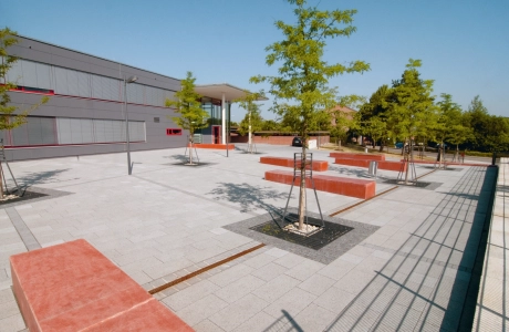 school playground planted