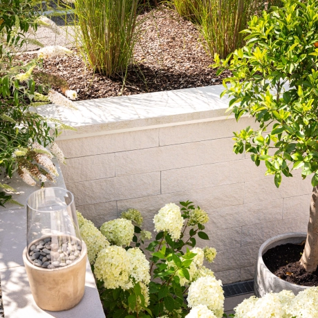 Chalk-colored wall as a border surrounded by peonies and green plants.