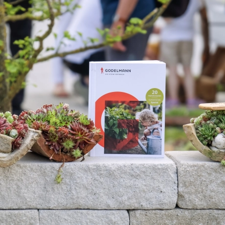 GODELMANN Gartenbuch auf einer GODELMANN Mauer zwischen Sukkulenten präsentiert