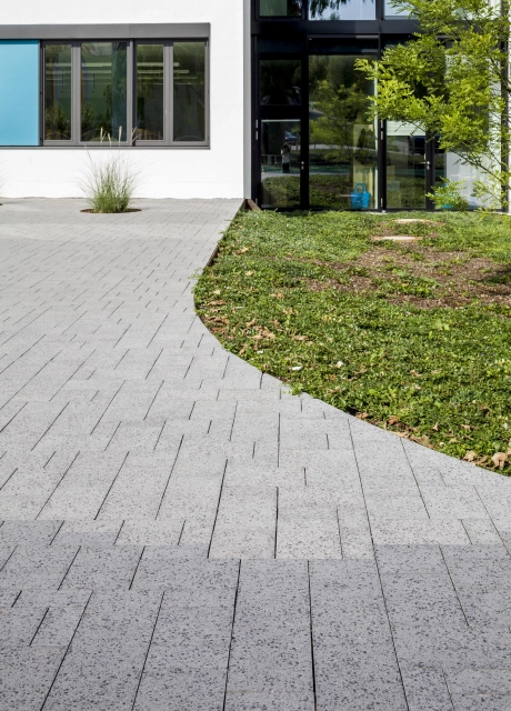schoolyard planted modern