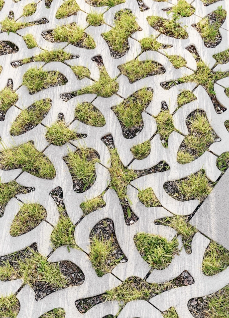 residential complex inner courtyard planted