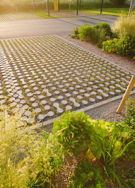 campus parking lot modern planting