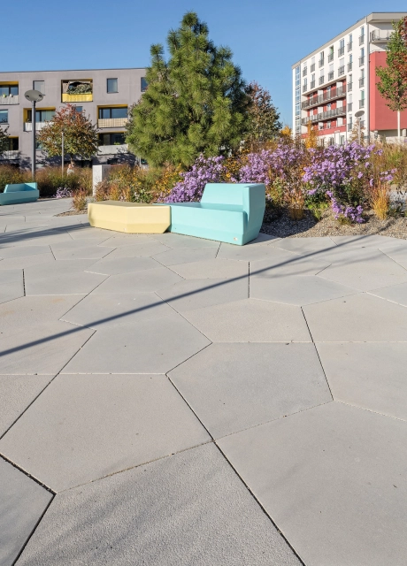 square planted modern